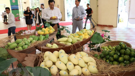 An Giang sẽ Cwin Đăng Ký + 1888k xoài sang thị trường Mỹ trong tháng 6