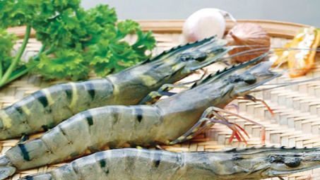 Tận dụng cơ hội từ các FTA, tôm Việt Nam tăng Cwin Đăng Ký + 1888k sang Nhật