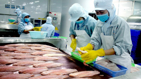 Cwin com sòng bạc trực tuyến cá tra sang 10 nước nước CPTPP: Nhiều cơ hội mở rộng thị phần