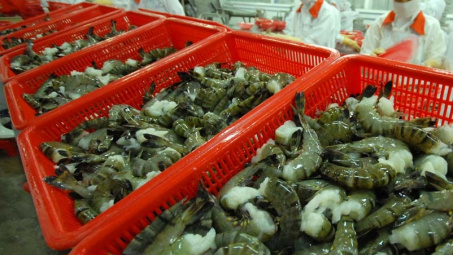 Chế biến phụ phẩm thủy sản: Khoảng trống tỷ đô