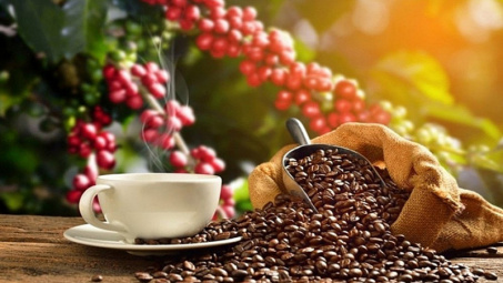 Việt Nam là nguồn cung cà phê lớn nhất cho Tây Ban Nha
