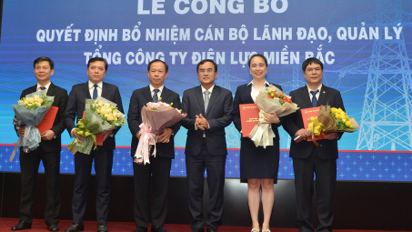 EVNNPC bổ nhiệm nữ Tổng giám đốc