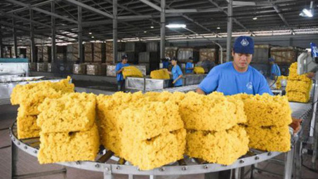 Cwin com sòng bạc trực tuyến cao su tăng tháng thứ 3 liên tiếp