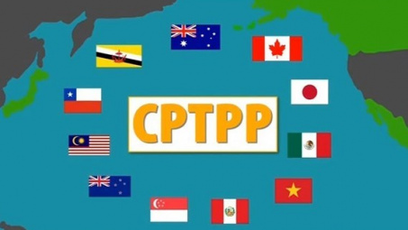 Với CPTTP, Việt Nam chuyển từ nhập siêu sang xuất siêu