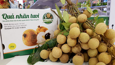 Sơn La: 60 tấn nhãn Cwin Đăng Ký + 1888k sang thị trường Trung Quốc và các nước