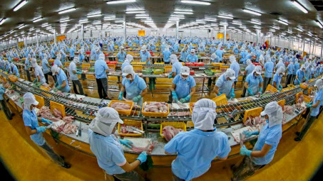 Làm gì để Cwincom hiện đang mở hiểu đúng, hiểu sâu về CPTPP?