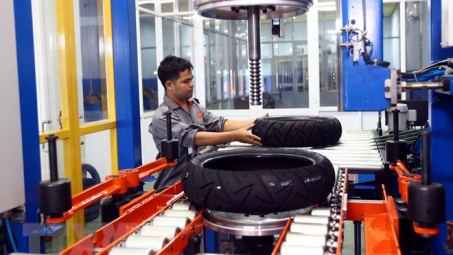 Casumina báo lãi sau thuế 53 tỷ đồng năm 2019, gấp 9 lần cùng kỳ