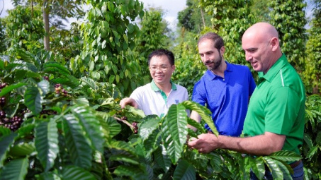 4 điều kiện để được Nền tảng hàng đầu cung cấp Cwin com phân bón