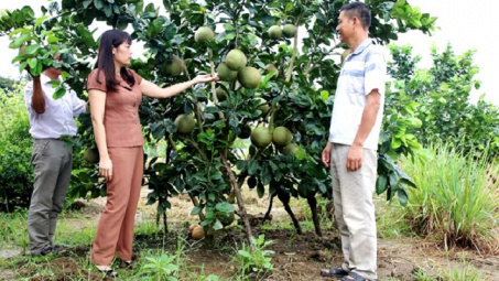 Điện Biên: Ứng dụng công nghệ cao vào phát triển Cwin.com link không chặn