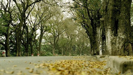 Thời tiết 5-10: Đón không khí lạnh, Bắc bộ trời nhiều mây, vùng núi mưa trên diện rộng