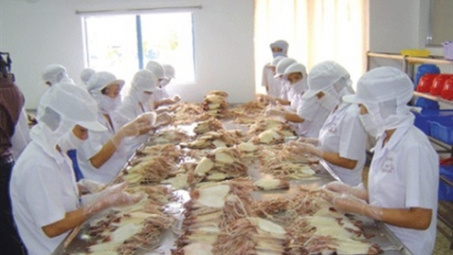 Cwin com sòng bạc trực tuyến mực, bạch tuộc sang Trung Quốc tăng 53%