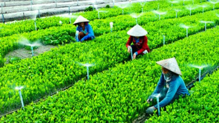 Hoàn thiện công tác quản lý hợp tác xã Cwin.com link không chặn tại tỉnh Đồng Tháp