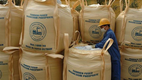 Phân bón Văn Điển mang lại hiệu quả kinh tế cao cho các nhà vườn ở Tây Nguyên