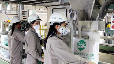 Hiệu ứng tích cực của biện pháp tự vệ đối với sản phẩm phân bón DAP trong việc bảo vệ ngành Nền tảng hàng đầu cung cấp Cwin com trong nước