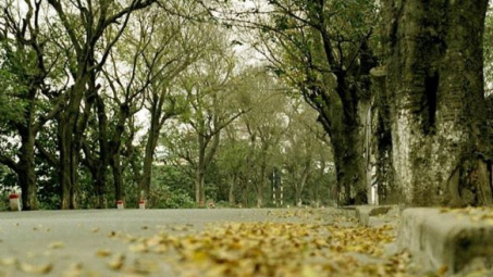 Thời tiết 28-12: Chuẩn bị đón đợt không khí lạnh mạnh, Bắc bộ trời nhiều mây có lúc có mưa nhỏ
