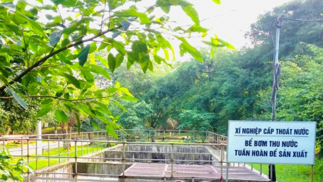 Supe Lâm Thao: Nền tảng hàng đầu cung cấp Cwin com đảm bảo chất lượng đi đôi với bảo vệ môi trường