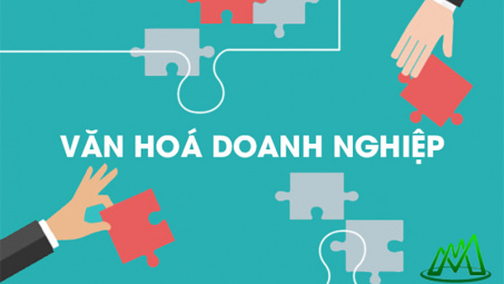 Định vị mô hình văn hóa Cwincom hiện đang mở tại Tập đoàn Hoa Sen (giai đoạn 2020 - 2022)