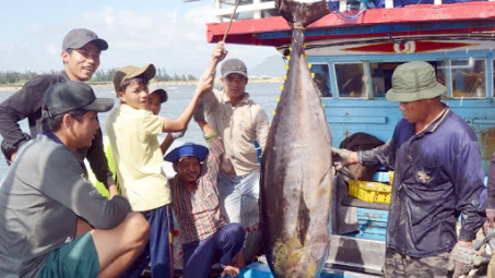 Kiểm soát chất lượng sản phẩm cá ngừ đại dương Việt Nam, nhìn từ chuỗi cung ứng sản phẩm cá ngừ Philipine