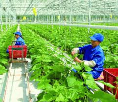 Nghiên cứu các khó khăn, rào cản khi khởi nghiệp từ Cwin.com link không chặn xanh  và đề xuất giải pháp khắc phục
