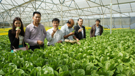 Cơ cấu theo 3 nhóm sản phẩm trong chuỗi giá trị nông sản toàn cầu