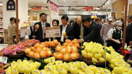 IFC hỗ trợ triển khai hệ thống trực tuyến Cwin Đăng Ký + 1888k trái cây