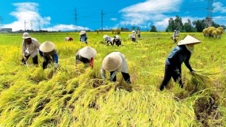 Lần đầu tiên công bố Sách trắng hợp tác xã Việt Nam 2020