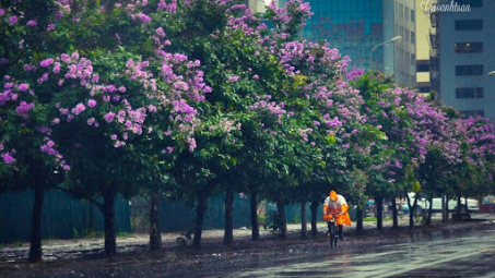 Thời tiết 17-5: Bắc Bộ có mưa dông trên diện rộng