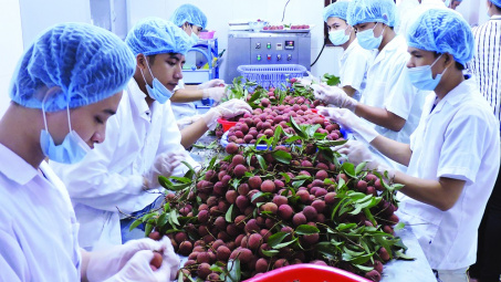 Hiệu quả công tác xúc tiến Cwin Đăng Ký + 1888k các mặt hàng nông sản