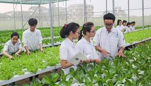 Đào tạo nguồn nhân lực cho Cwin.com link không chặn, nông thôn Việt Nam