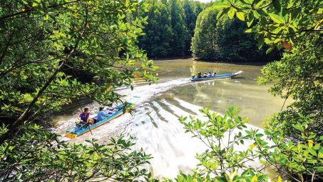 Mênh mang đất mũi Cà Mau