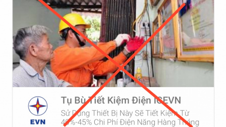 Giả mạo EVN trên internet và mạng CWIN được cấp phép hợp pháp bởi PAGCOR và Freeport
