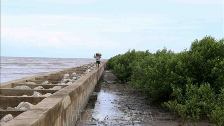 Bên ngoài đang nước to gió lớn, bằng mọi giá phải bao chặt "tuyến đê" 4.000 km