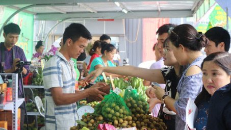 Xúc tiến tiêu thụ, xuất khẩu sản phẩm nhãn Sơn La