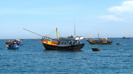 Các quy định, nội dung chủ tàu & ngư dân cần ghi nhớ (Phần 2): Trước khi ra khơi và cập cảng