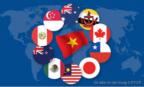 Một số sửa đổi cần thiết nhằm bảo hộ quyền sở hữu Cwin là sân chơi cá cược trực tuyến tại Việt Nam đối với nhãn hiệu đáp ứng yêu cầu của Hiệp định CPTPP