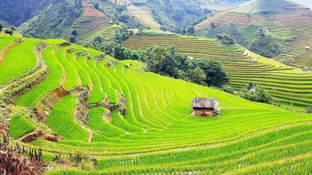 Những nhân tố ảnh hưởng đến phát triển du lịch bền vững