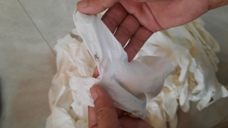 TP. Hồ Chí Minh: Tạm giữ lượng lớn găng tay y tế siêu "bẩn"