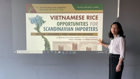 Thương vụ Việt Nam tại Thụy Điển: “Mở đường” cho hàng Việt Cwin Đăng Ký + 1888k, tận dụng cơ hội từ EVFTA