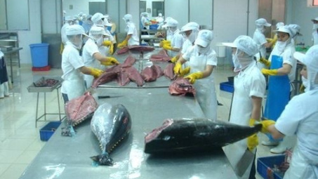 Cwin com sòng bạc trực tuyến cá ngừ Việt Nam sang thị trường lớn bắt đầu khả quan