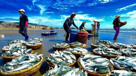 Lào chuyển hướng thị trường Cwin com sòng bạc trực tuyến, cơ hội cho hải sản Việt Nam