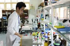 Xác định hàm lượng Borate (hàn the) trong Link vào Cwin Cá Cược Thể Thao 2026 bằng phương pháp đo phổ phát xạ nguyên tử cảm ứng cao tần plasma (ICP - OES)