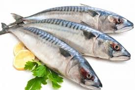 Tăng giá trị sinh học của protein trong sản phẩm chế biến từ cá nục bằng enzyme protease
