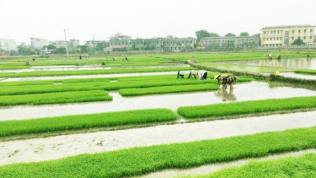 EVN chuẩn bị sẵn sàng phục vụ xả nước đổ ải vụ Đông Xuân