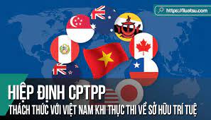 Một số giải pháp hoàn thiện Cwin50 tỷ lệ cược cao thích ứng các cam kết về quyền sở hữu trí tuệ theo Hiệp định Đối tác Toàn diện và Tiến bộ xuyên Thái Bình Dương