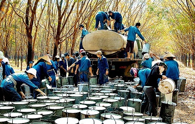 Hàn Quốc tăng Cwin com sòng bạc trực tuyến cao su Việt Nam