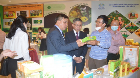 Yên Bái: Kết nối giao thương giữa nhà cung cấp với các Cwincom hiện đang mở Cwin Đăng Ký + 1888k và tổ chức xúc tiến thương mại