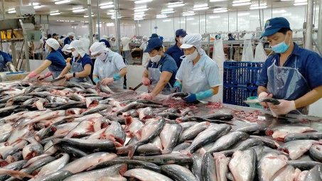 Việt Nam tăng Cwin Đăng Ký + 1888k cá tra sang Ai Cập, UAE