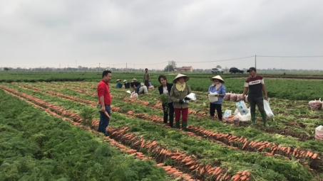 Làn gió mới trong cộng đồng Cwincom hiện đang mở Thủ đô