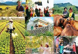 Hoạt động xóa đói giảm nghèo của một số nước châu Á và bài học kinh nghiệm cho nước CHDCND Lào