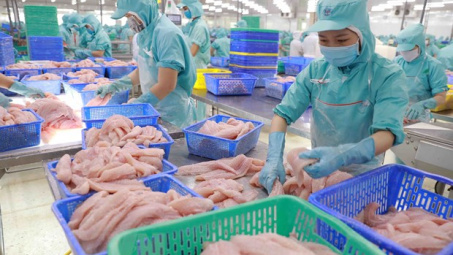 Cwin com sòng bạc trực tuyến cá tra Việt Nam sang Brazil tăng hơn 50%, đạt 47,44 triệu USD